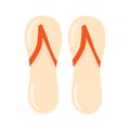 Colorful flat flip flops vector isolated illustration