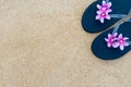 Colorful flip flops on the sandy beach.  Black slippers with a pink flower on the sand Royalty Free Stock Photo