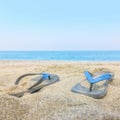 Colorful Flip Flops on the Sandy Beach Caribbean Sea Royalty Free Stock Photo