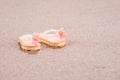 Colorful flip flops on the sandy beach Royalty Free Stock Photo