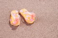 Colorful flip flops on the sandy beach Royalty Free Stock Photo