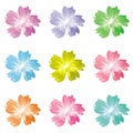 9 Colorful flora vector icon