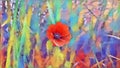 Red poppy illustration against colorful background. Royalty Free Stock Photo