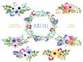 Colorful floral collection with multicolored flowers