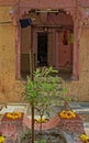 Colorful floral decorate tulsi vrinda in front of vintage old house Worli Village