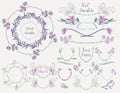 Colorful Floral Design Elements, Dividers, Frames Royalty Free Stock Photo