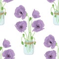 Colorful floral seamless pattern with hand drawn violet poppy flowers inside mason jar on white background. Stock vector Royalty Free Stock Photo