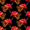 Colorful floral seamless pattern with red peony flowers and monarch butterflies collage on black background Royalty Free Stock Photo