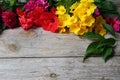 Colorful florals placed on the table old wooden