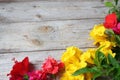 Colorful florals placed on the table old wooden