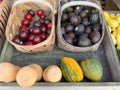 Colorful Florida plums, avacados, acorn squash and butternut squash at a fruit and vegetable stand in Orlando, Florida