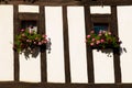 Colorful Flower Arragement on the windows in Austria