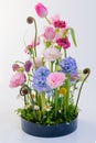 Colorful flower arrangement in front of white background, Royalty Free Stock Photo