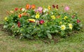 Colorful flower bed and green grass Royalty Free Stock Photo
