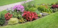 Colorful flower bed in the park with summer flowers, walkway and green lawn Royalty Free Stock Photo