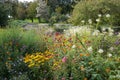 Colorful flower bed with zinnias and helenium, westpark munich