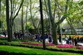 Colorful flower beds during annual April tulip festival in Istanbul in Gulhane Park, Turkey