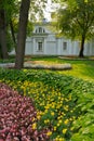 Colorful flower beds in Elagin Island city park at summer in St.Petersburg
