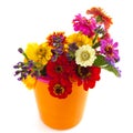 Colorful flower bouquet Royalty Free Stock Photo