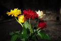 colorful flower bouquet isolated on dark background. red gerbera. yellow gerbera. white rose. close up. macro Royalty Free Stock Photo