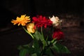 colorful flower bouquet isolated on dark background. red gerbera. yellow gerbera. white rose. close up. macro Royalty Free Stock Photo