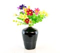 Colorful flower bouquet in vase isolated on white background Royalty Free Stock Photo