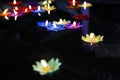 Colorful flower candle floating on water. Royalty Free Stock Photo