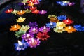 Colorful flower candle floating on water. Royalty Free Stock Photo