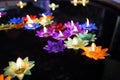 Colorful flower candle floating on water. Royalty Free Stock Photo