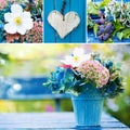 Colorful flower collage from several pictures