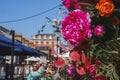 Colorful flower decoration on shop in townsquare during sunny day