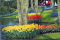 Colorful flower garden Royalty Free Stock Photo