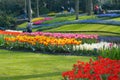 Colorful flower garden Royalty Free Stock Photo