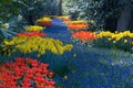 Colorful flower garden Royalty Free Stock Photo