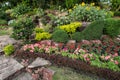 Colorful flower in garden