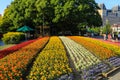 Colorful flower garden