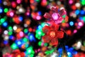 Colorful Flower Of Light Royalty Free Stock Photo