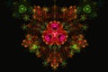 Colorful flower mandala fractal star