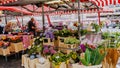 Colorful Flower Market in Nuremburg Germany Royalty Free Stock Photo