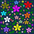 Colorful flower, Multi color flower background Royalty Free Stock Photo