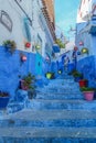Colorful flower pots, on doorstep and stairs of a blue painted traditional house, India Royalty Free Stock Photo