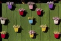 Colorful flower pots, flowers on wooden decor