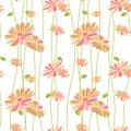 Colorful Flower Seamless Pattern Background