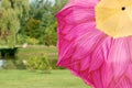 Colorful flower umbrella in a park Royalty Free Stock Photo