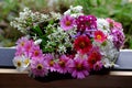 Colorful flower vase with variety daisy blossom on wooden window frame of house Royalty Free Stock Photo