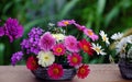 Colorful flower vase with variety daisy blossom on wooden window frame of house Royalty Free Stock Photo