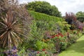 Colorful flowerbed with red roses by a green tall hedge