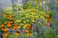 colorful flowerbed with salvia, begonias, tagetes, zinnias near a pond