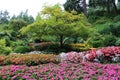 Colorful flowerbeds around a lone tree in the Butchart Garden ion Vancouver Island, British Columbia, Canada..jpg Royalty Free Stock Photo