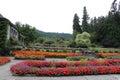 Colorful flowerbeds with flowering plants